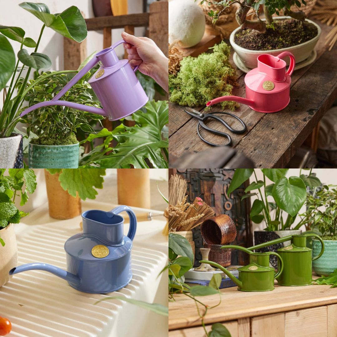 Wexthuset Japan Online Store